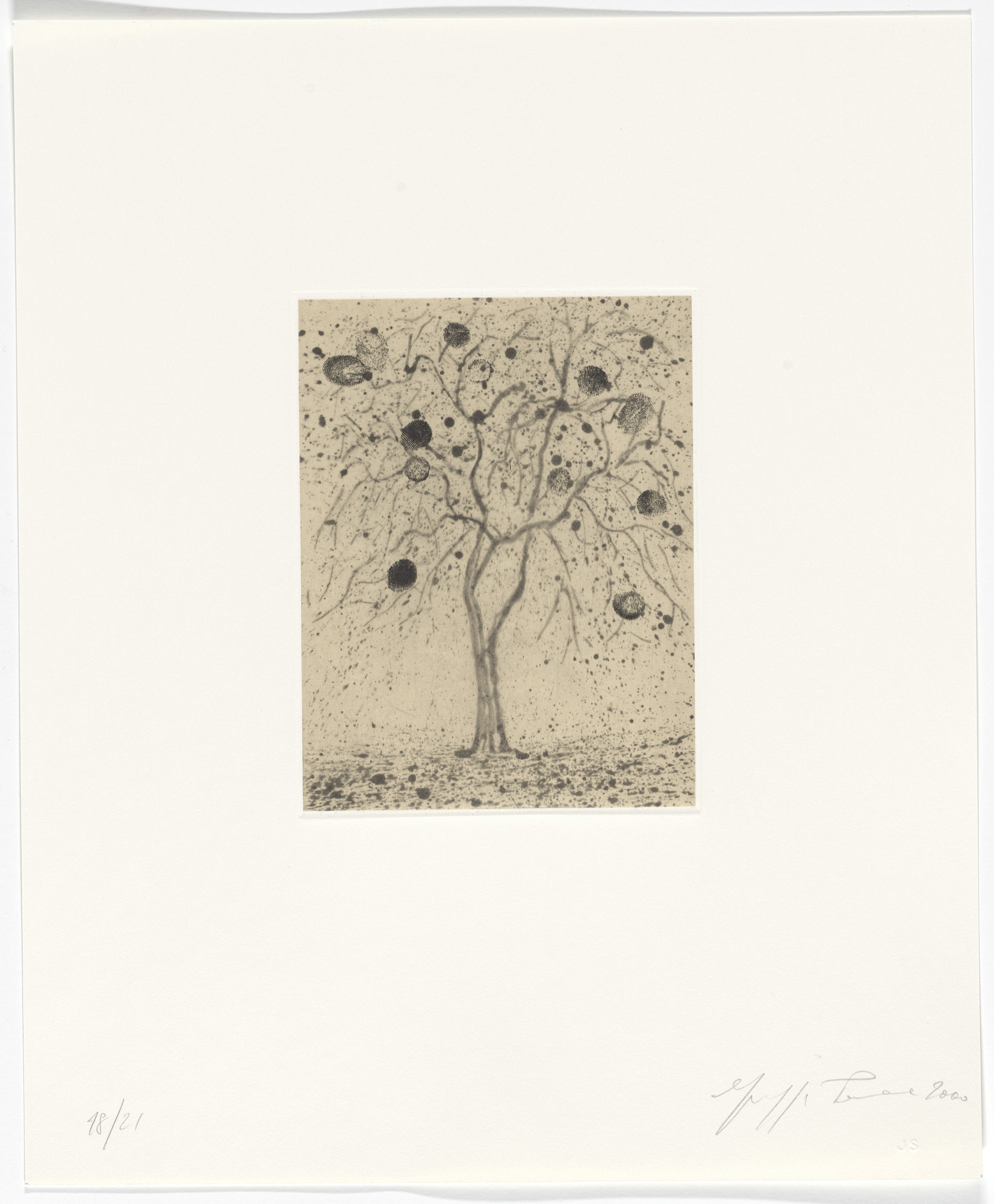 Giuseppe Penone. Untitled from Passi Sulle Cime Dei Gelsi (Footsteps on Mulberry Tree Tops)