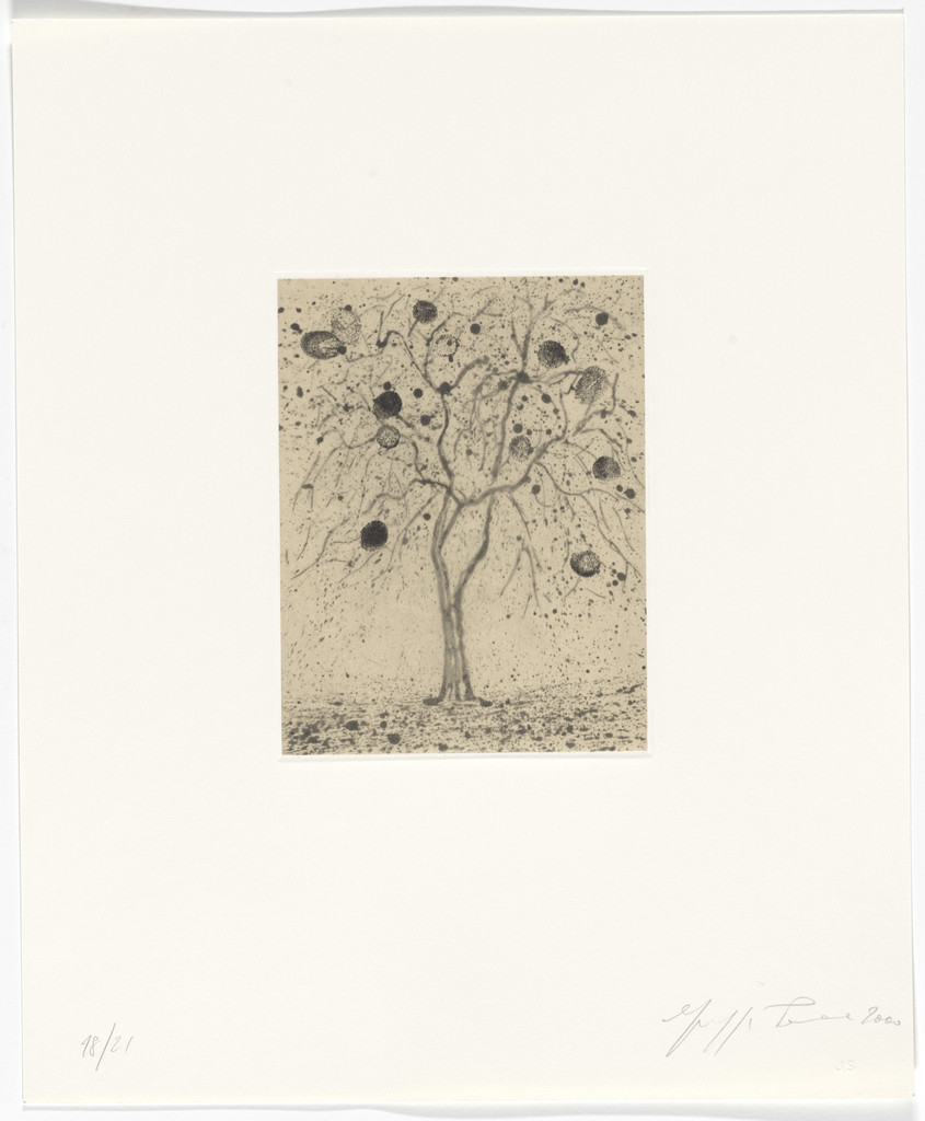 Untitled from Passi Sulle Cime Dei Gelsi (Footsteps on Mulberry Tree Tops)