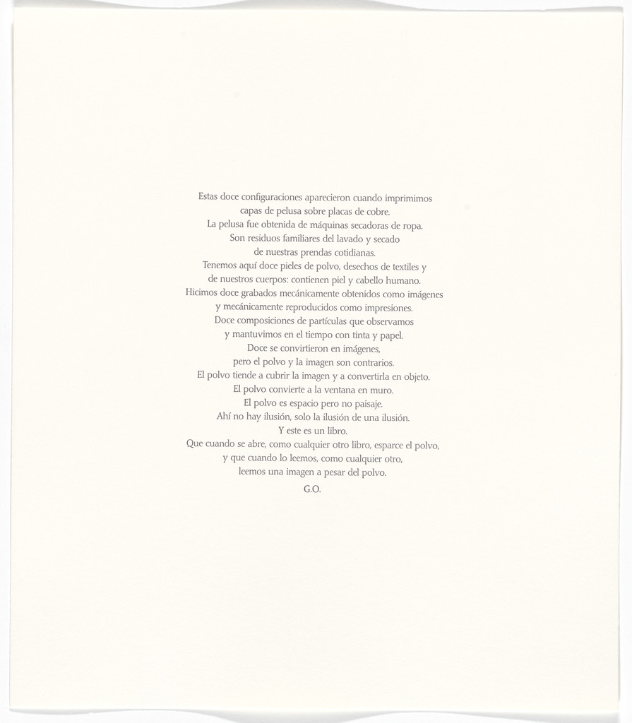 Untitled from Polvo Impreso (Lint Book)