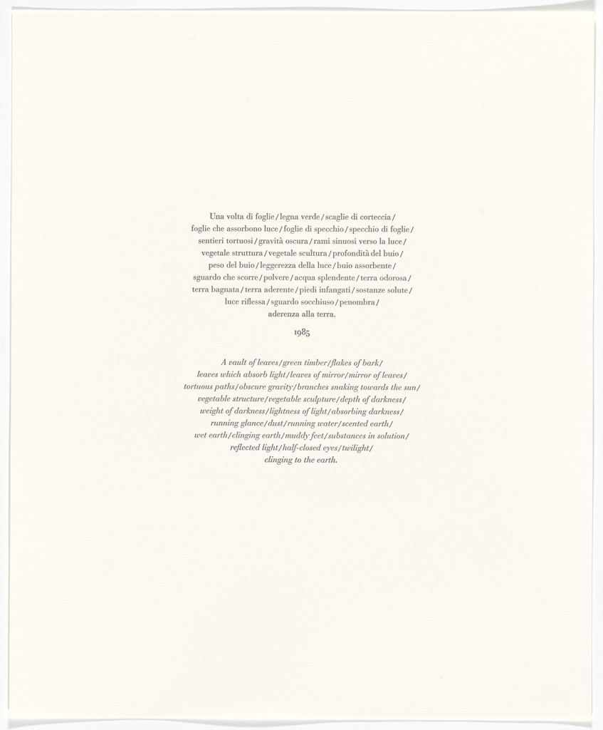 Untitled from Passi Sulle Cime Dei Gelsi (Footsteps on Mulberry Tree Tops)