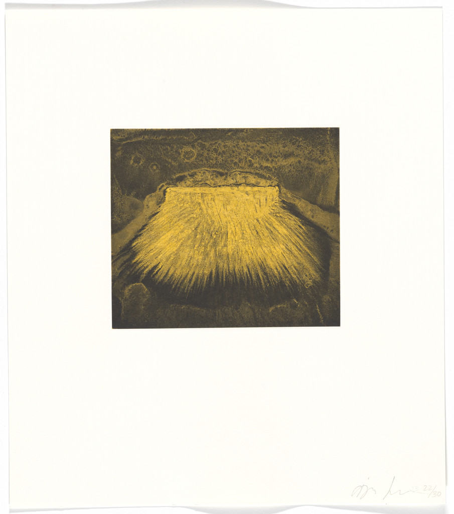 Untitled from Blackness from Her Womb