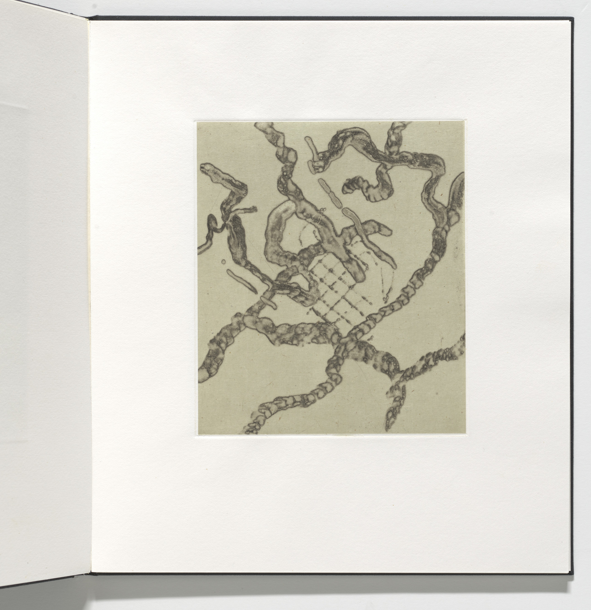 Ed Moses. Untitled from Abstraktion and Apparition