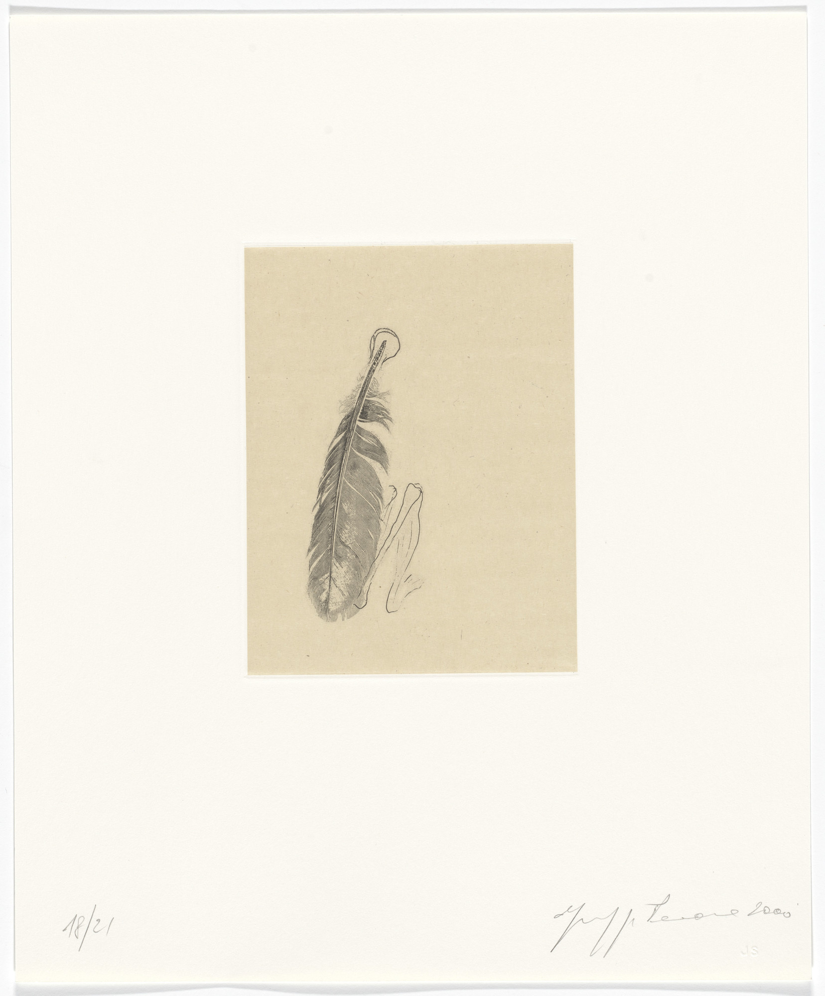Giuseppe Penone. Untitled from Passi Sulle Cime Dei Gelsi ( Footsteps on Mulberry Tree Tops )