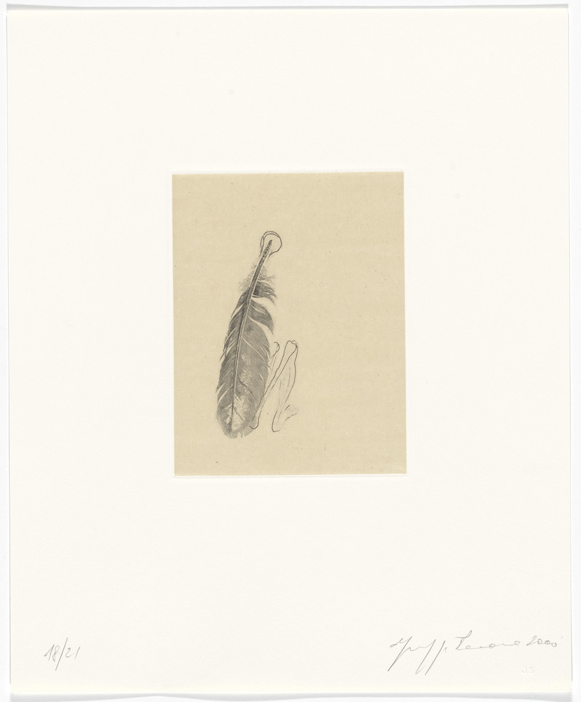 Untitled from Passi Sulle Cime Dei Gelsi (Footsteps on Mulberry Tree Tops) by Giuseppe Penone