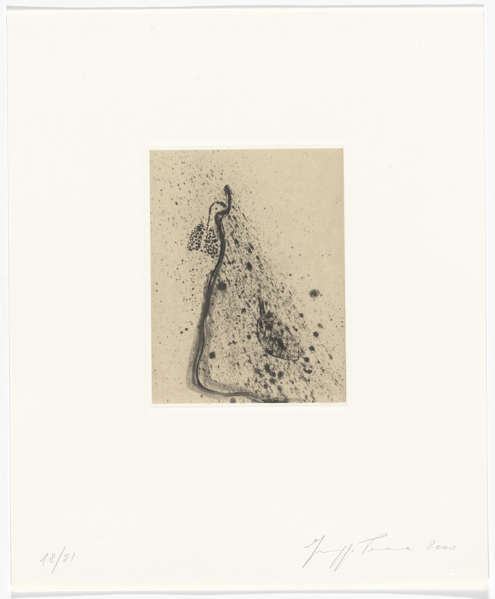 Giuseppe Penone. Untitled from Passi Sulle Cime Dei Gelsi (Footsteps on Mulberry Tree Tops)