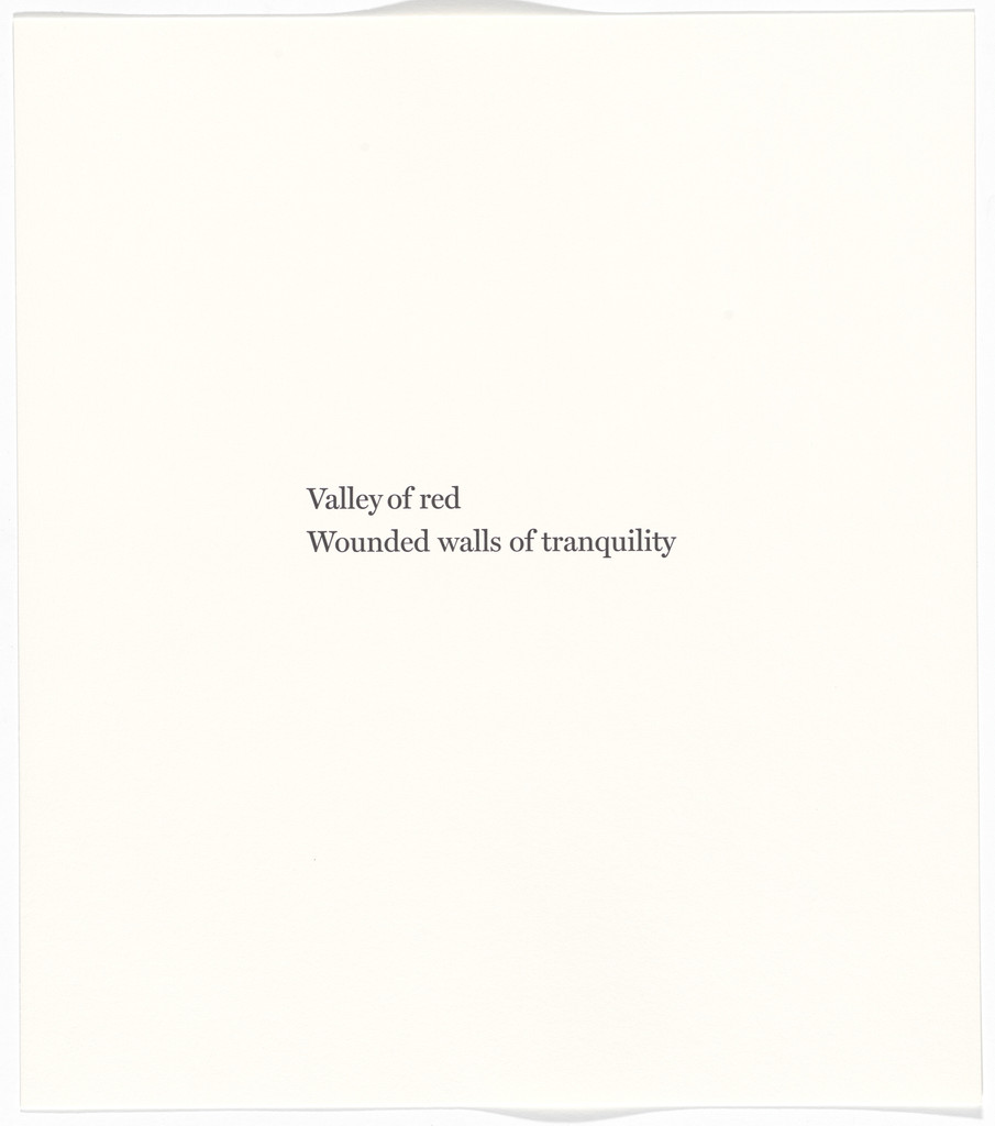 Untitled from Blackness from Her Womb