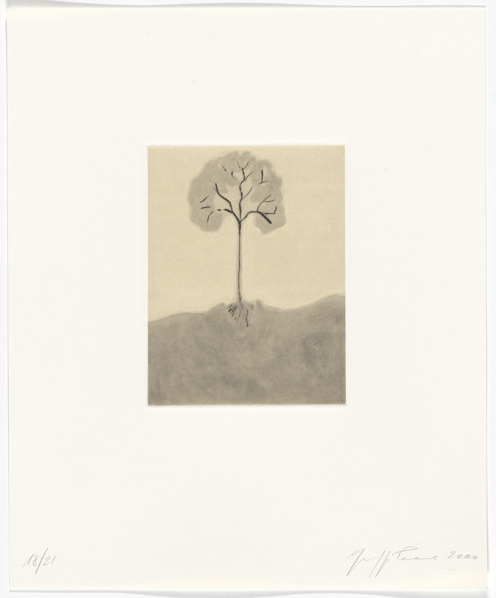 Giuseppe Penone. Untitled from Passi Sulle Cime Dei Gelsi (Footsteps on Mulberry Tree Tops)
