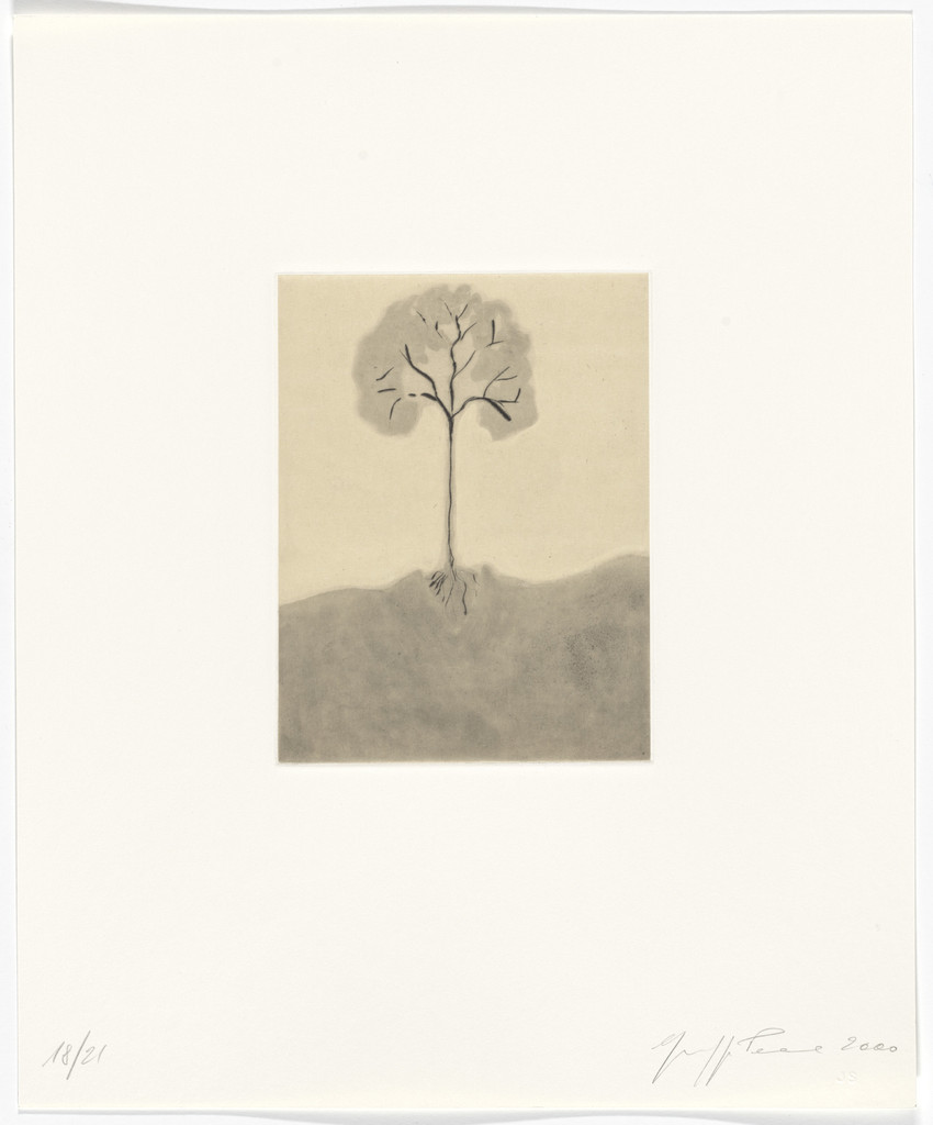 Untitled from Passi Sulle Cime Dei Gelsi (Footsteps on Mulberry Tree Tops)