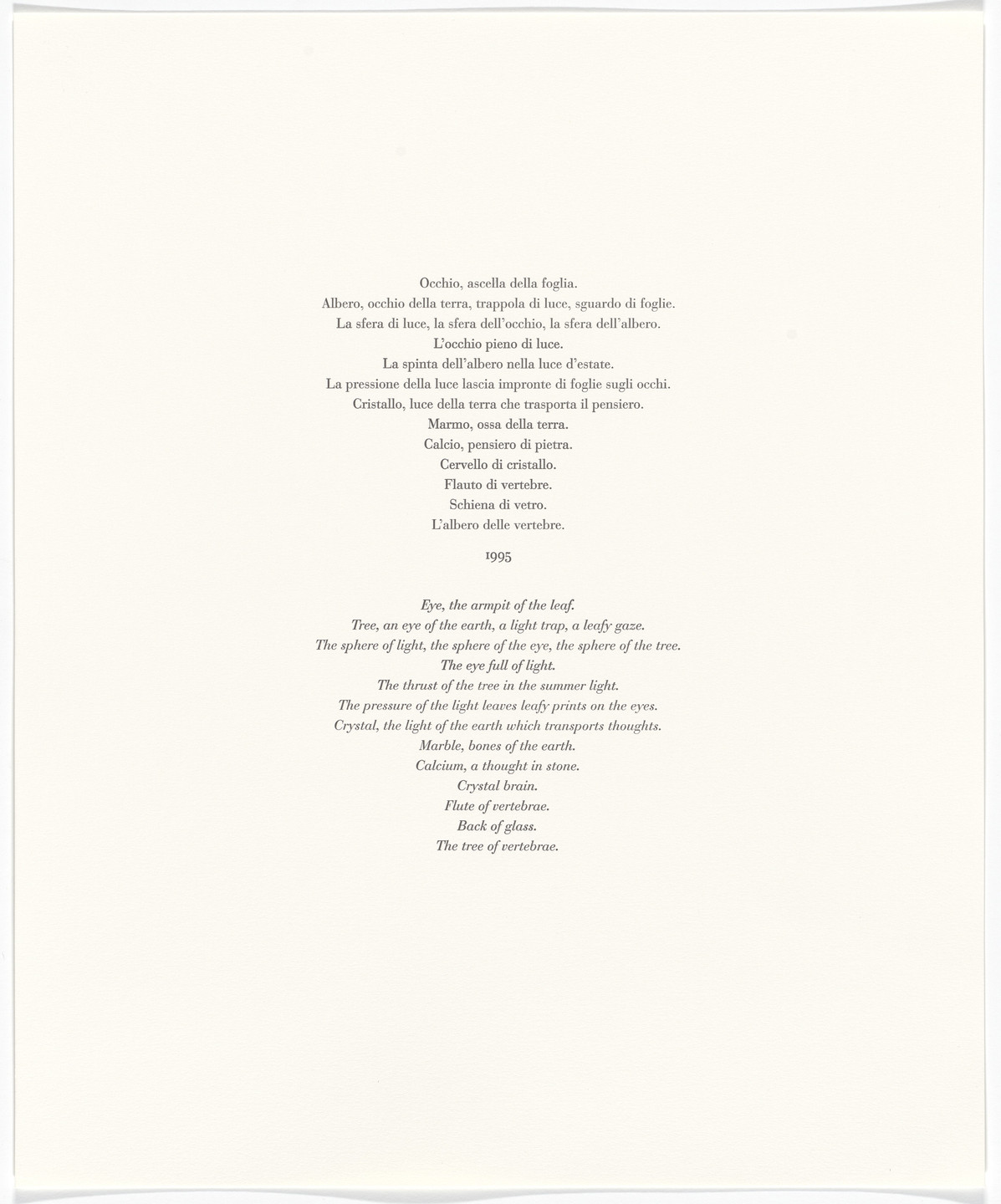 Giuseppe Penone. Untitled from Passi Sulle Cime Dei Gelsi. 2000