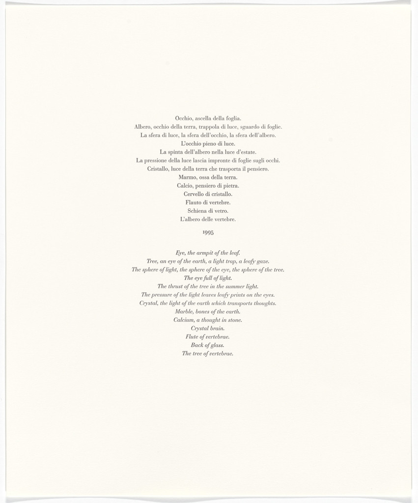 Untitled from Passi Sulle Cime Dei Gelsi (Footsteps on Mulberry Tree Tops) by Giuseppe Penone