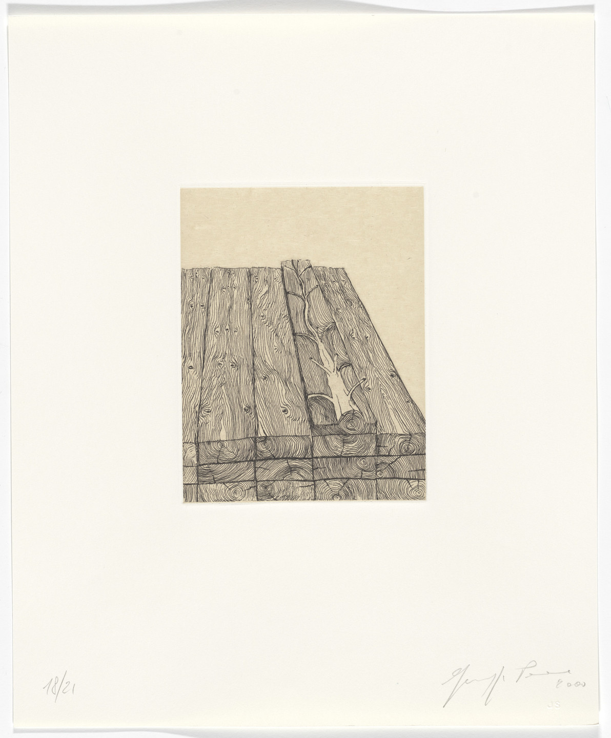 Giuseppe Penone. Untitled from Passi Sulle Cime Dei Gelsi. 2000