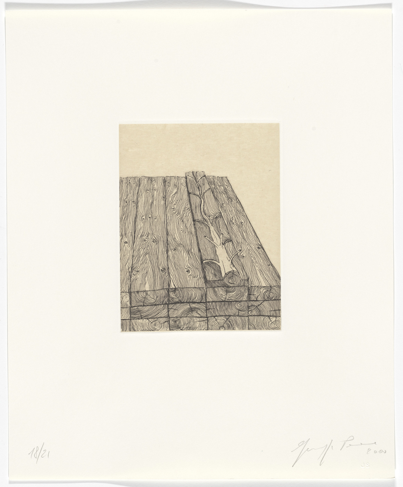Giuseppe Penone. Untitled from Passi Sulle Cime Dei Gelsi ( Footsteps on Mulberry Tree Tops )