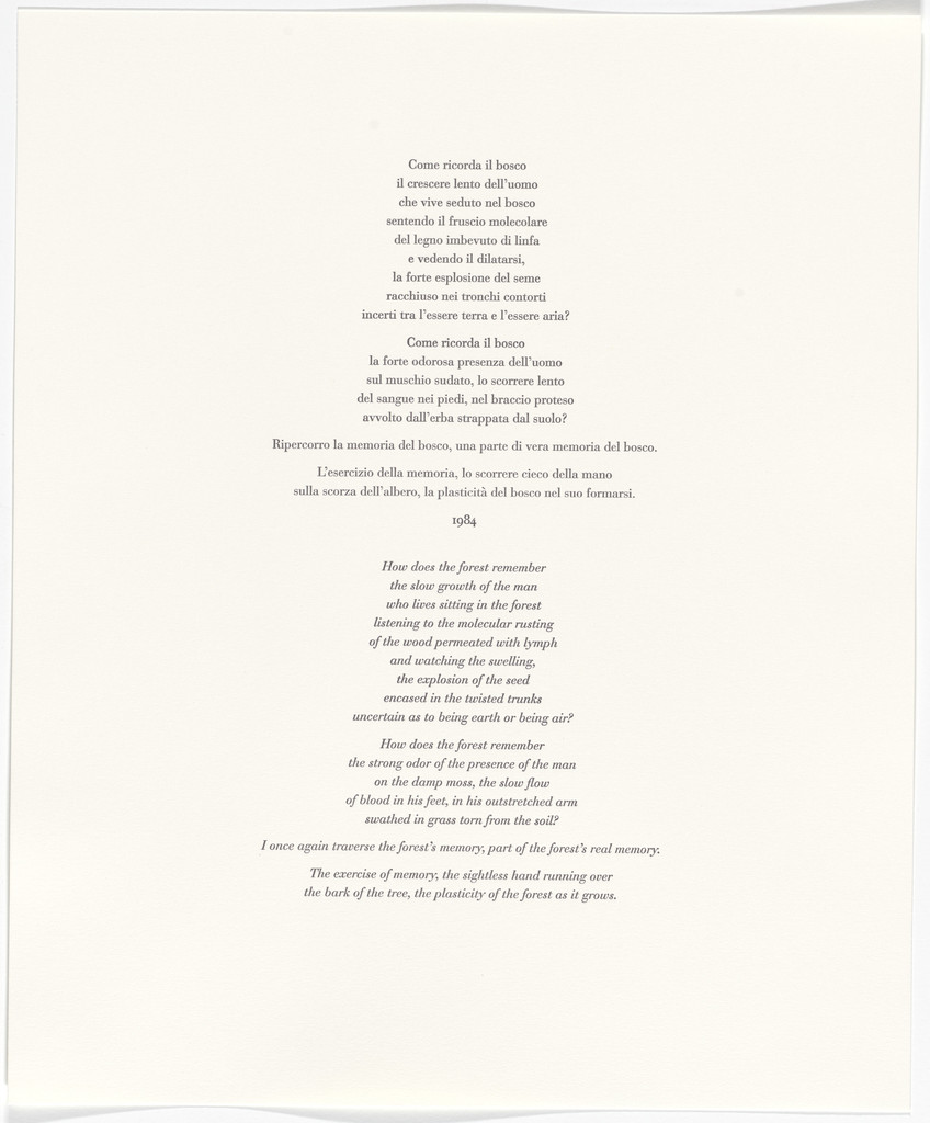 Untitled from Passi Sulle Cime Dei Gelsi (Footsteps on Mulberry Tree Tops)