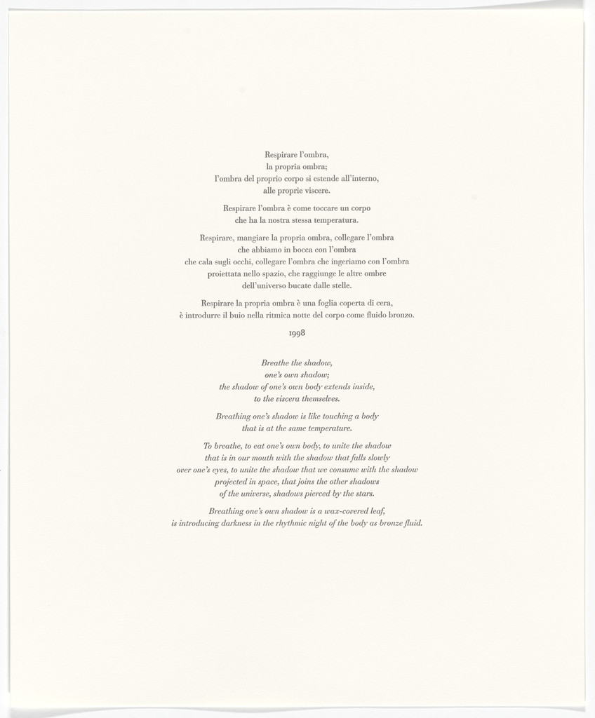 Untitled from Passi Sulle Cime Dei Gelsi (Footsteps on Mulberry Tree Tops)