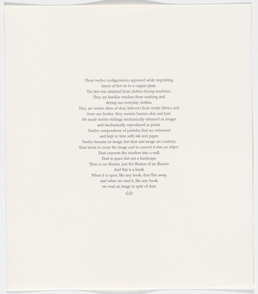 Untitled from Polvo Impreso (Lint Book)