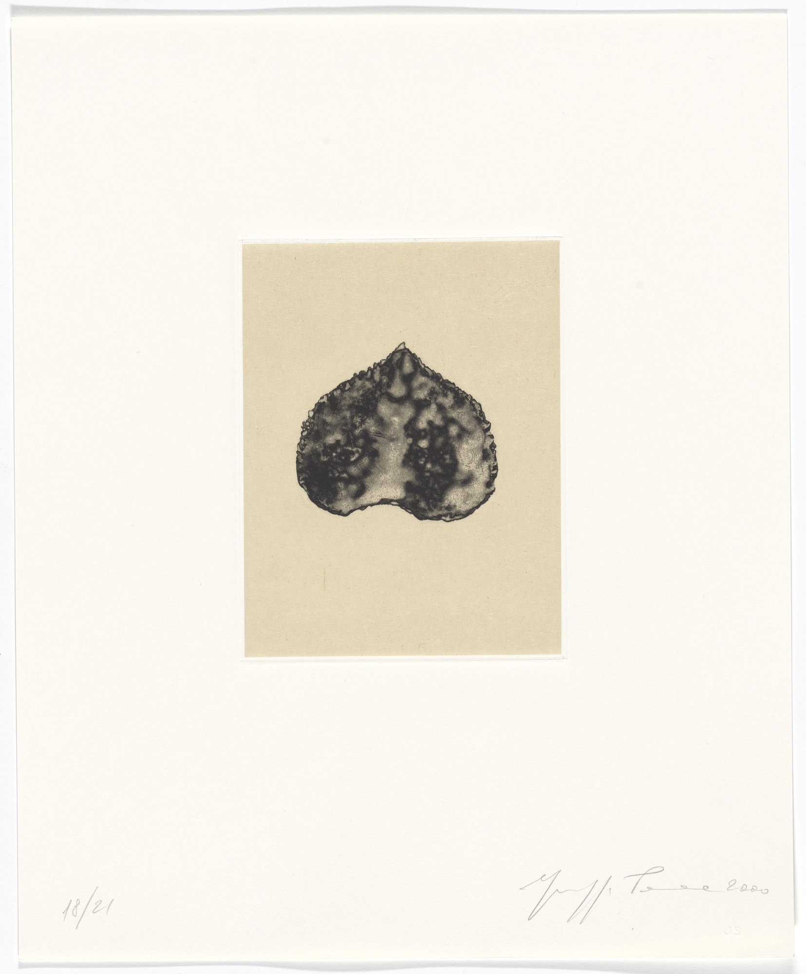 Giuseppe Penone. Untitled from Passi Sulle Cime Dei Gelsi (Footsteps on Mulberry Tree Tops)