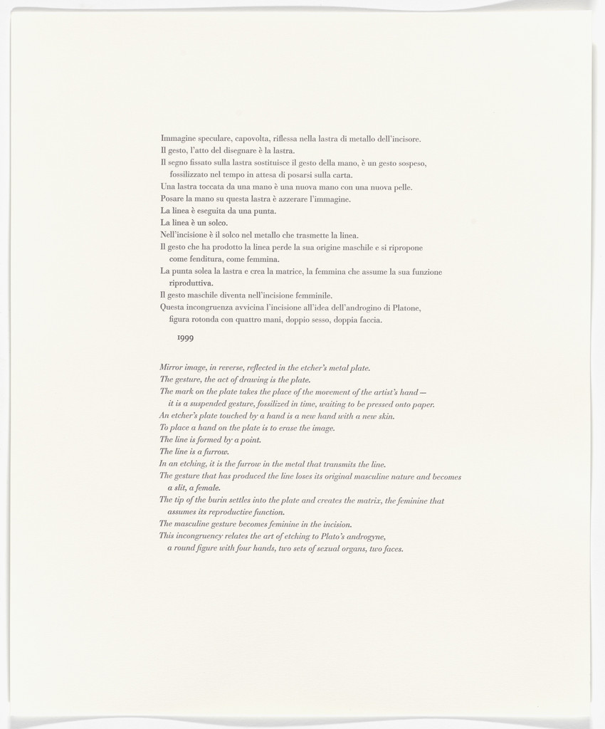 Untitled from Passi Sulle Cime Dei Gelsi (Footsteps on Mulberry Tree Tops)