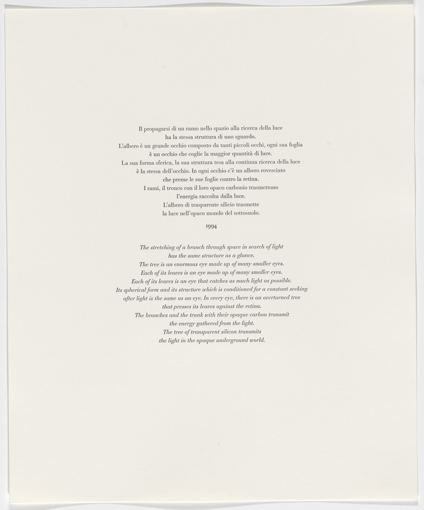 Untitled from Passi Sulle Cime Dei Gelsi (Footsteps on Mulberry Tree Tops)