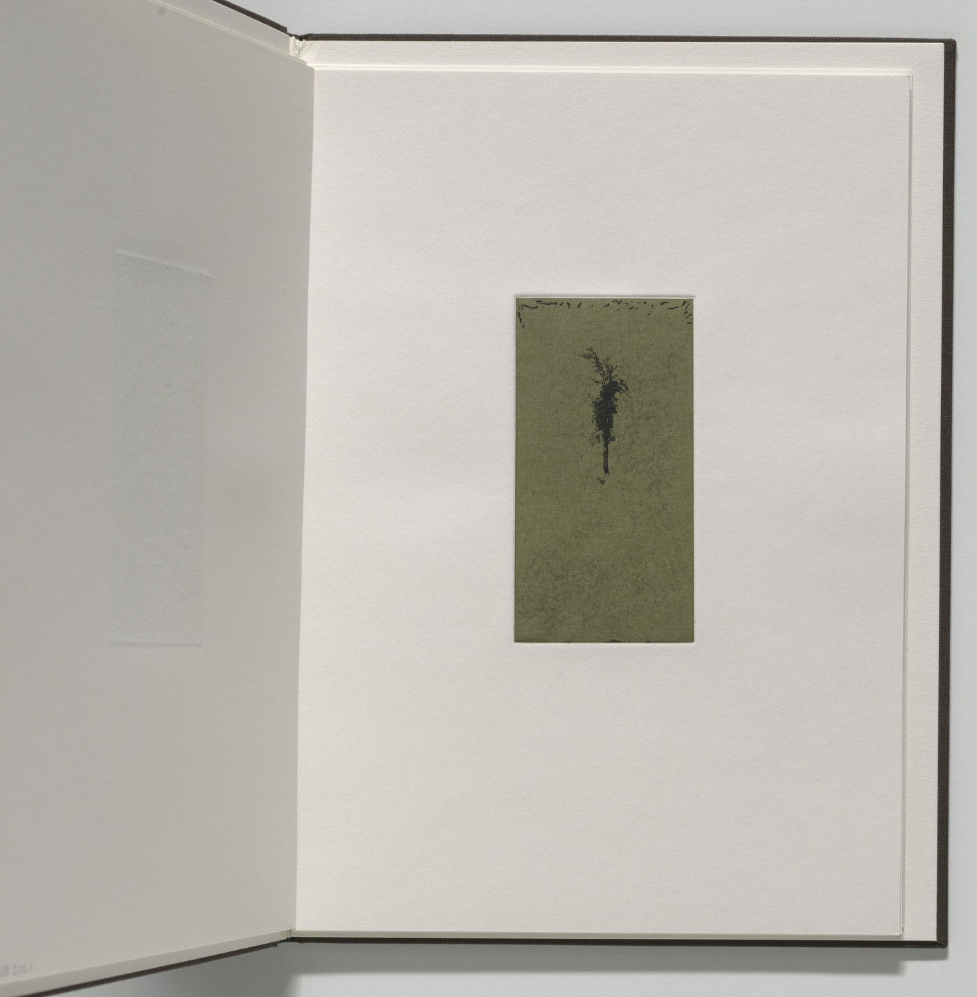 Marvin Harden. Untitled from Natural Selections. 1991