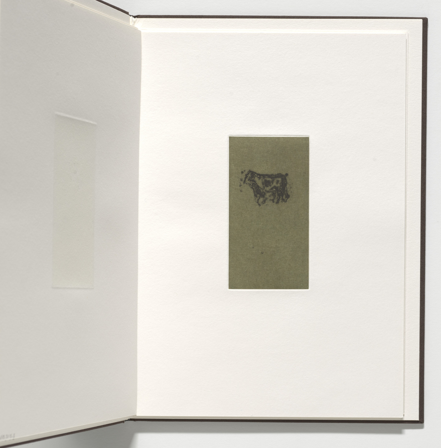 Marvin Harden. Untitled from Natural Selections. 1991