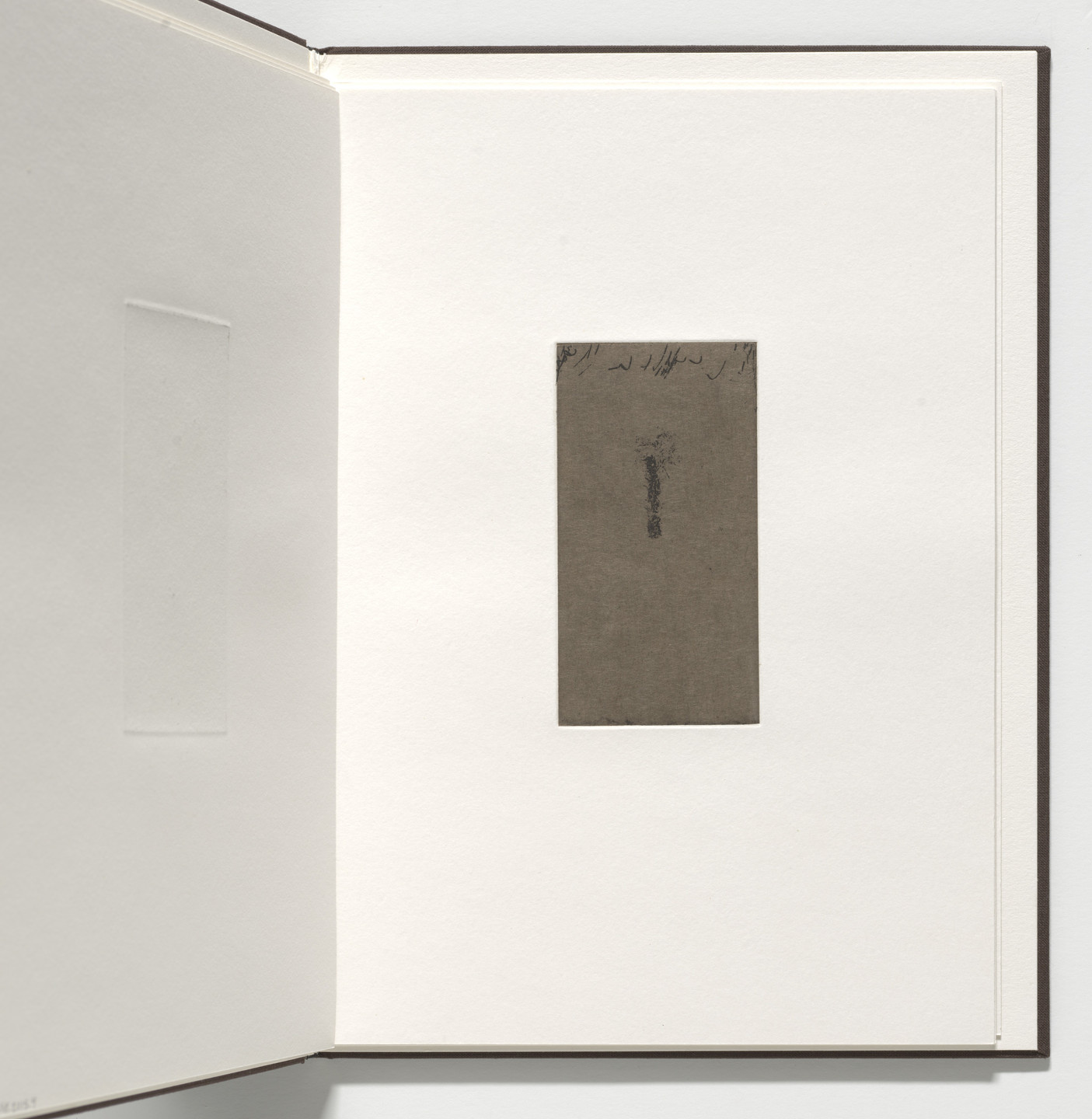 Marvin Harden. Untitled from Natural Selections. 1991