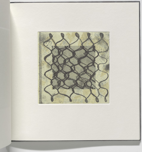 Untitled from Keffiyeh