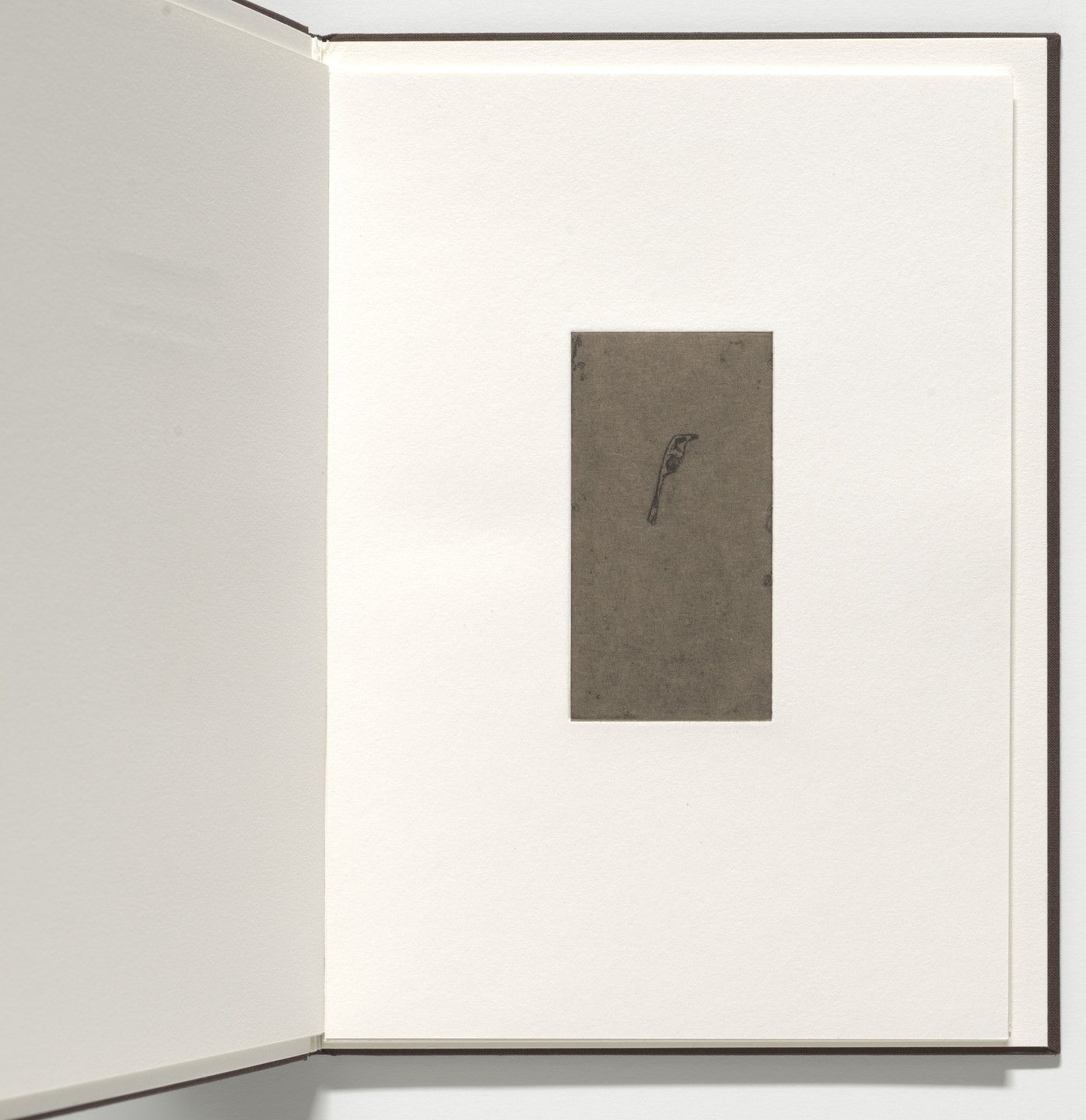 Marvin Harden. Untitled from Natural Selections. 1991