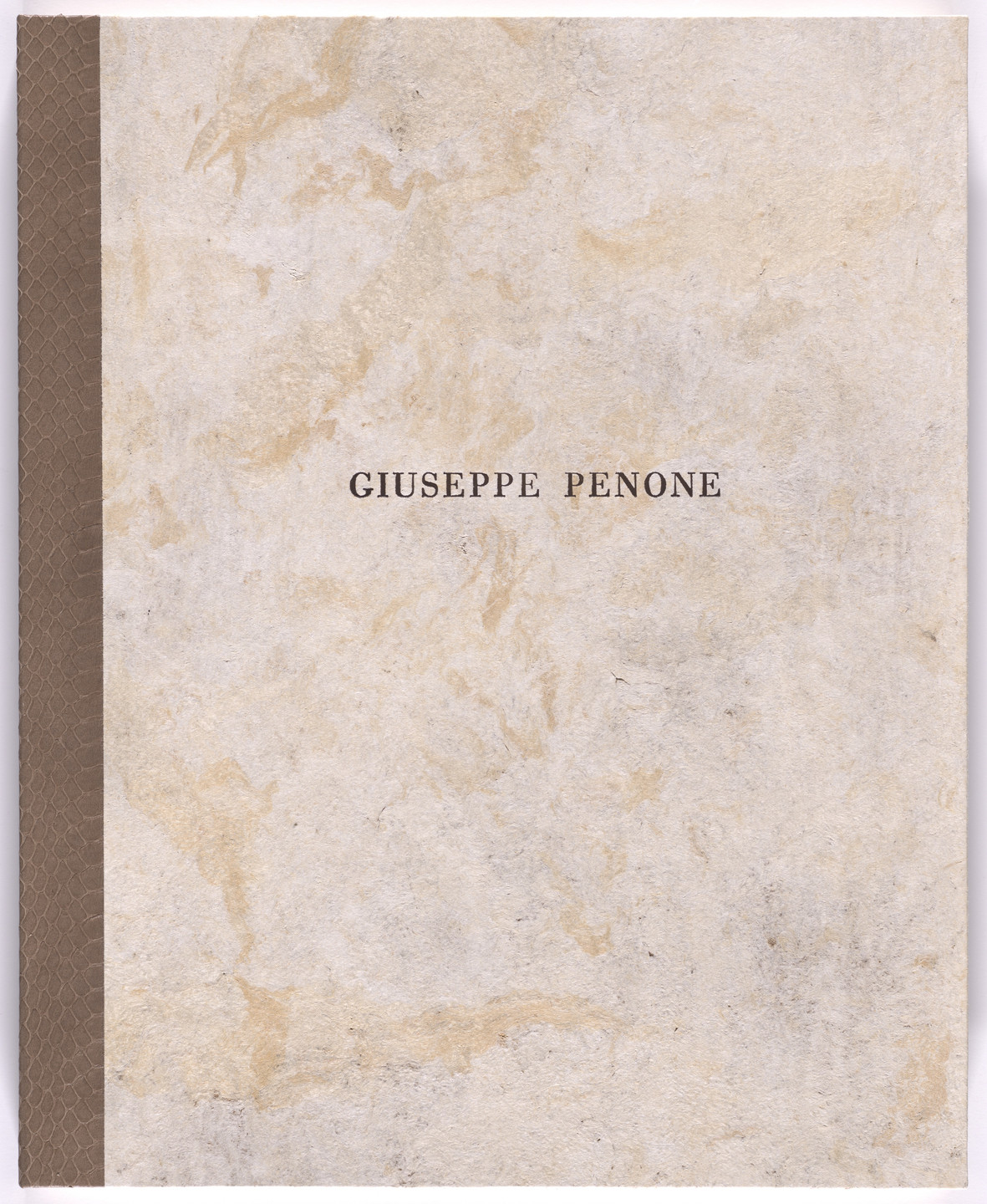 Giuseppe Penone. Passi Sulle Cime Dei Gelsi. 2000