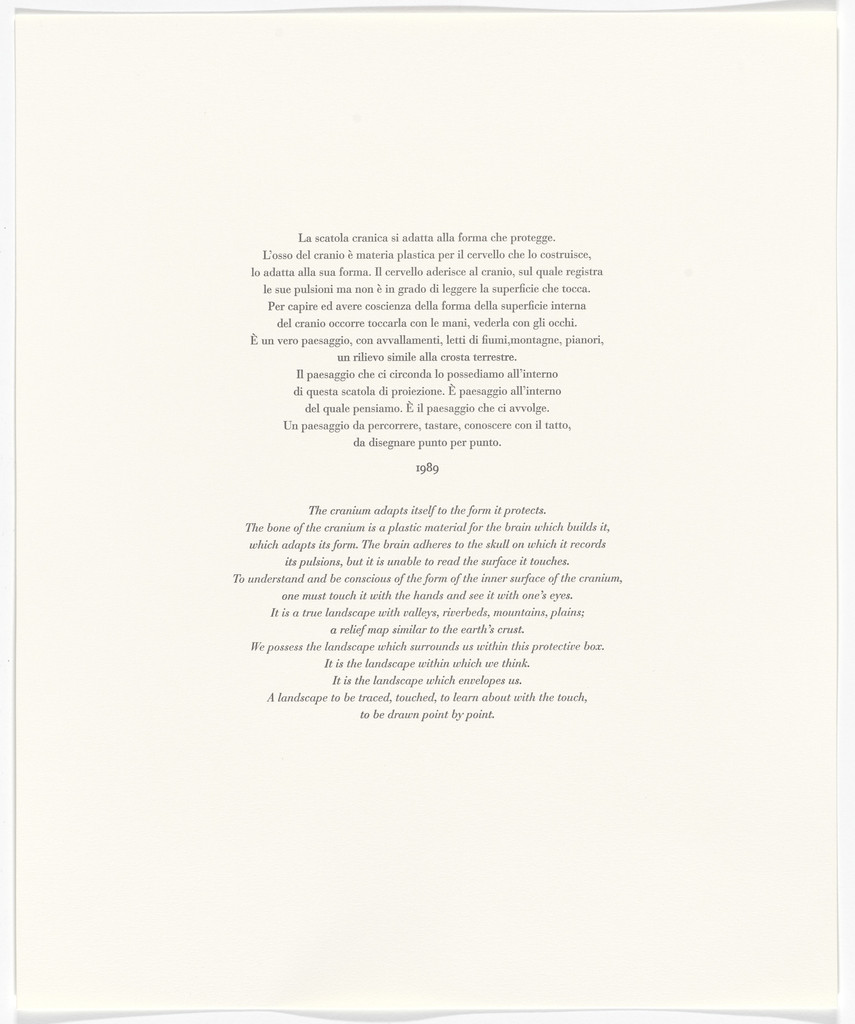 Untitled from Passi Sulle Cime Dei Gelsi (Footsteps on Mulberry Tree Tops) by Giuseppe Penone