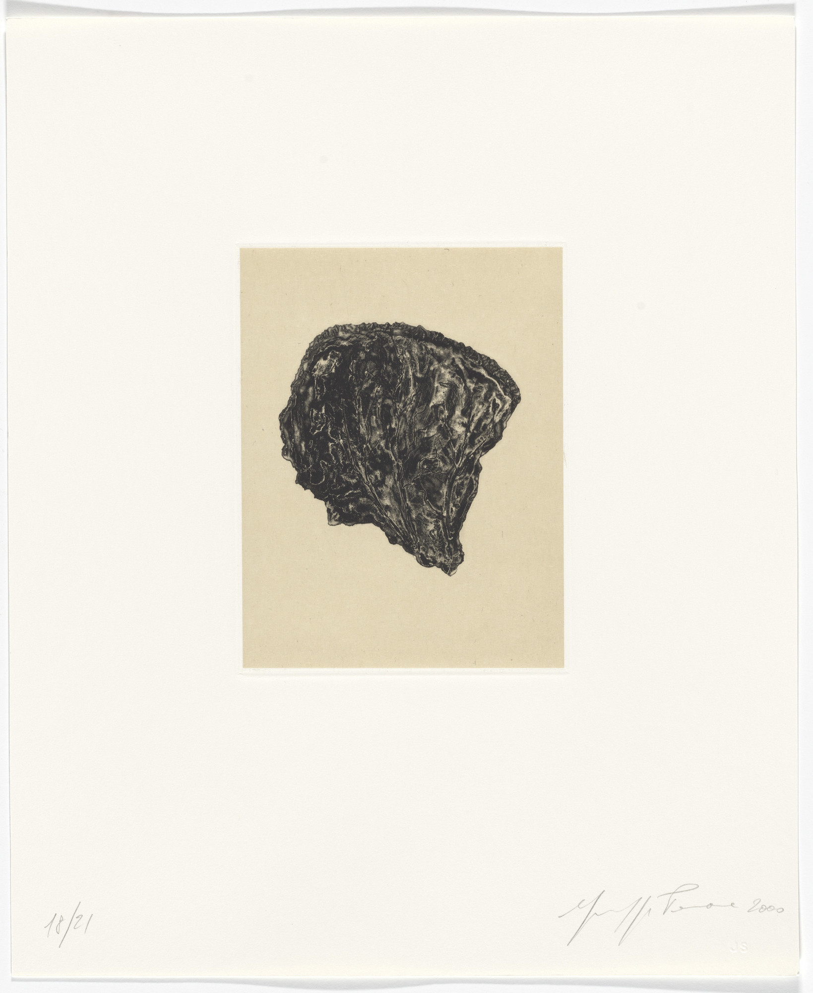 Giuseppe Penone. Untitled from Passi Sulle Cime Dei Gelsi (Footsteps on Mulberry Tree Tops)