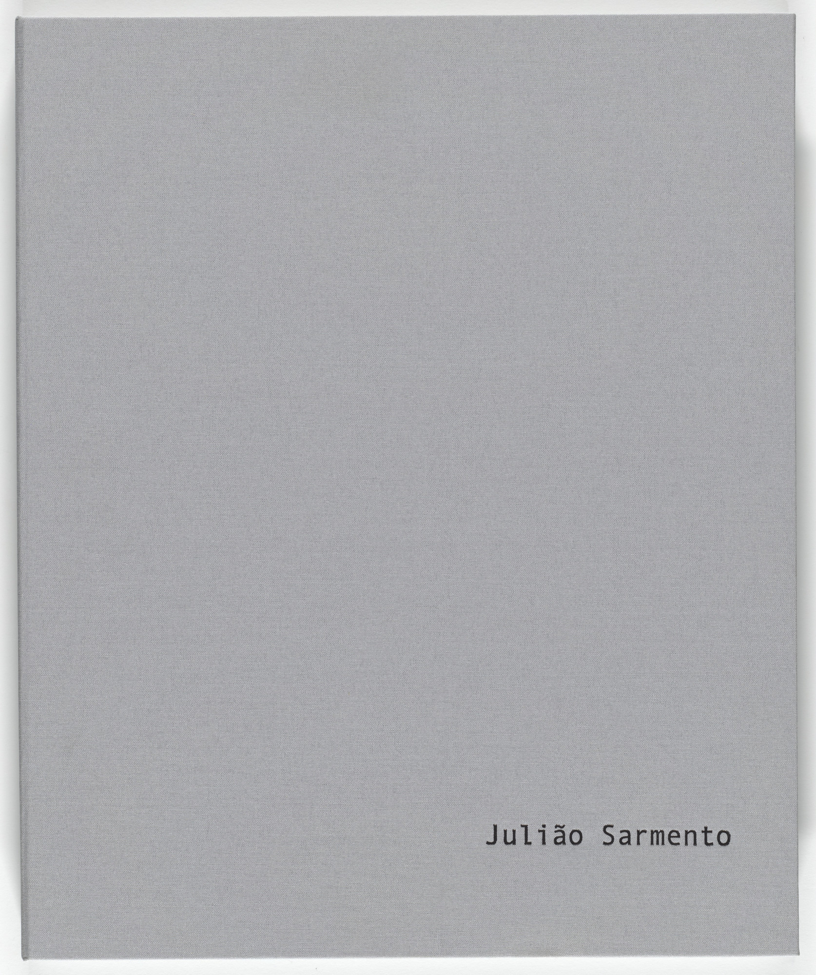 Julião Sarmento. Seven Houses & Six Flats