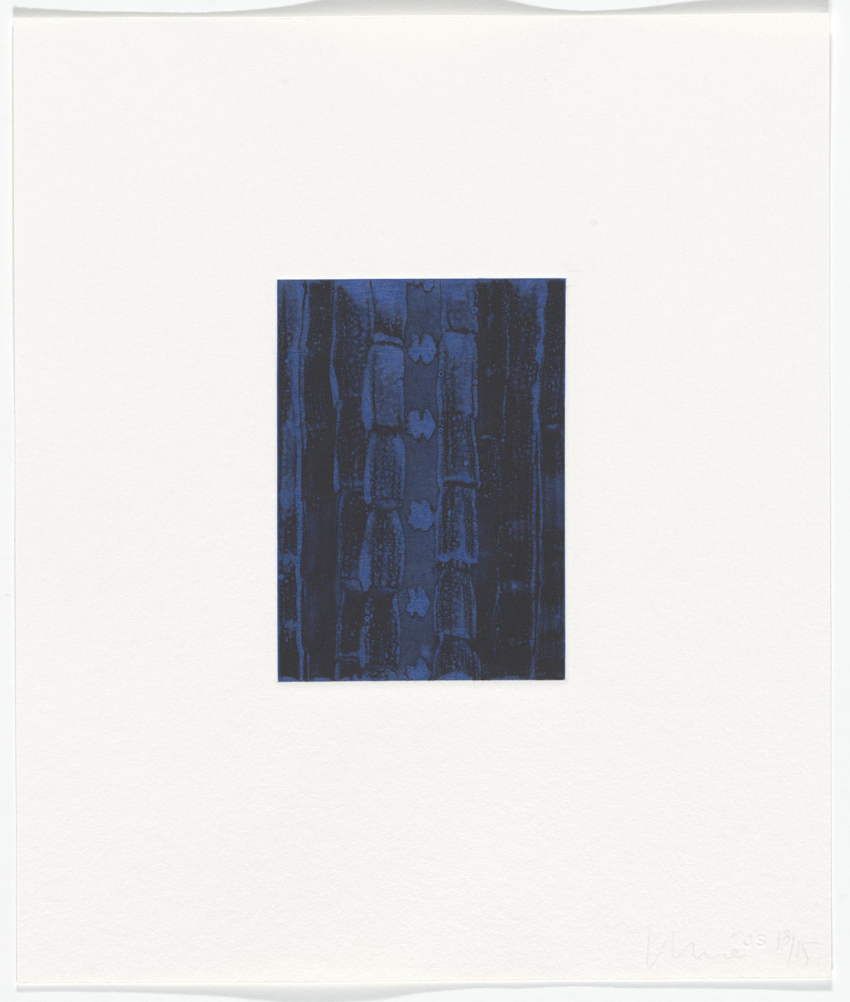 Juan Uslé. Untitled from blumania. 2000