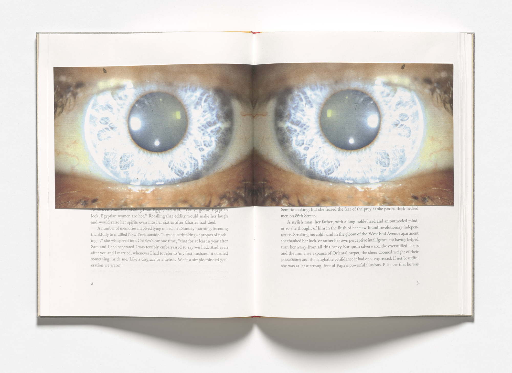 Louise Bourgeois. Untitled, no. 1 of 8, from the illustrated book, Homely Girl, A Life , volume II