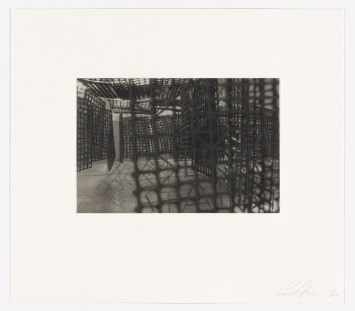 Untitled from Hanging Corridors