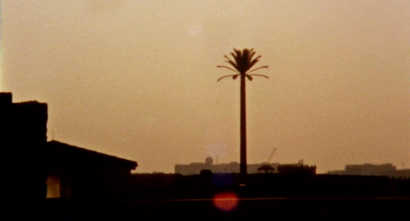 Basim Magdy. My Father Looks For An Honest City. 2010