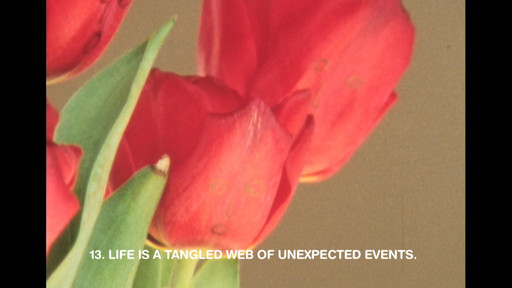 13 Essential Rules for Understanding the World
