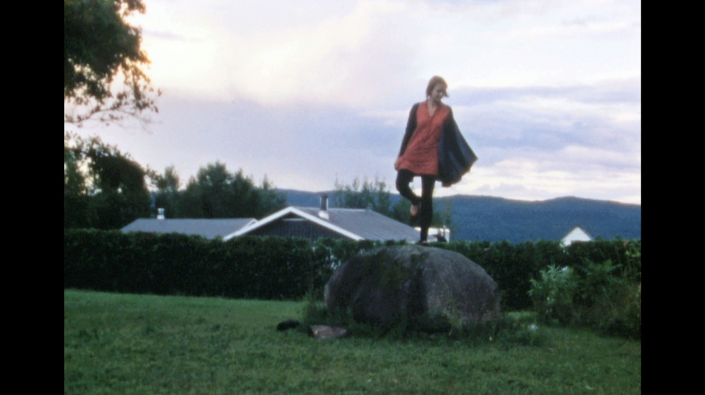 13 Essential Rules for Understanding the World