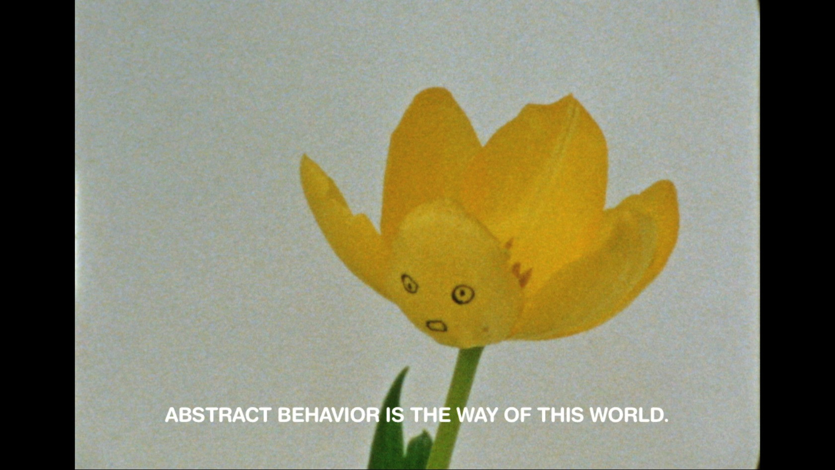 Basim Magdy. 13 Essential Rules for Understanding the World. 2011