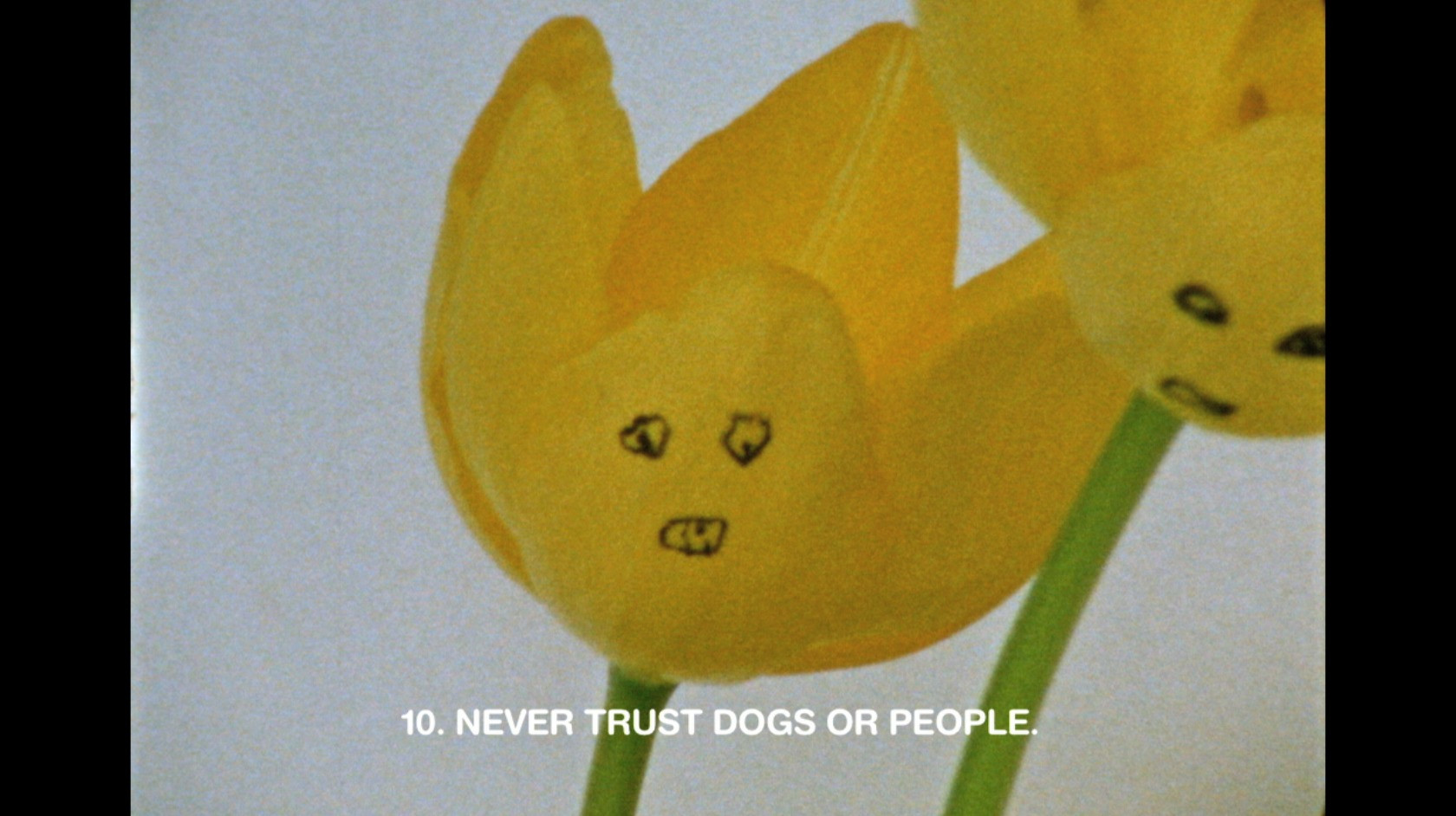 Basim Magdy. 13 Essential Rules for Understanding the World. 2011
