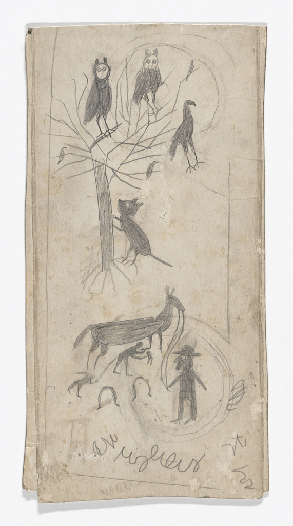 Owls in Tree/Shoeing Mule