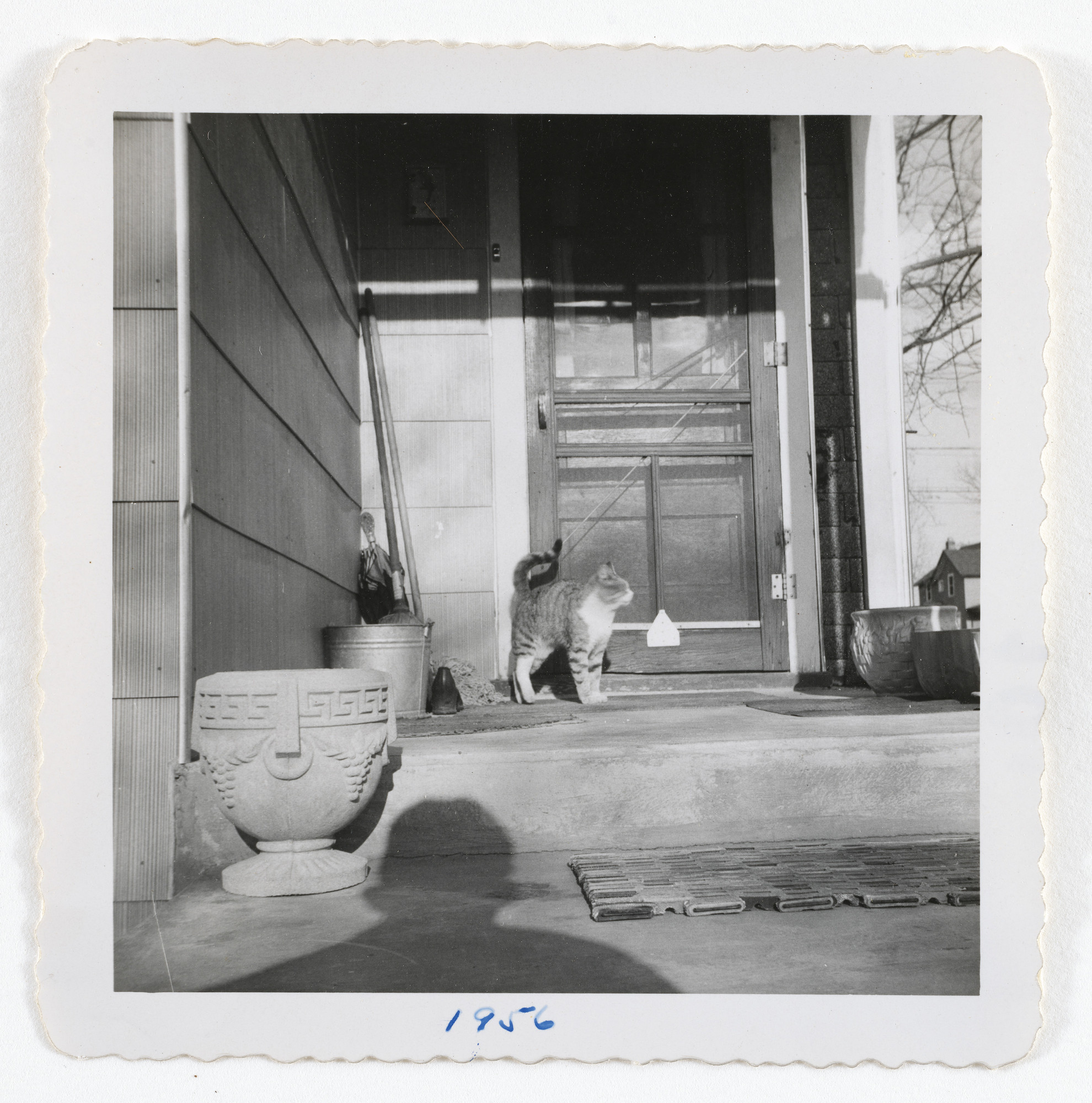 Unidentified photographer. Untitled