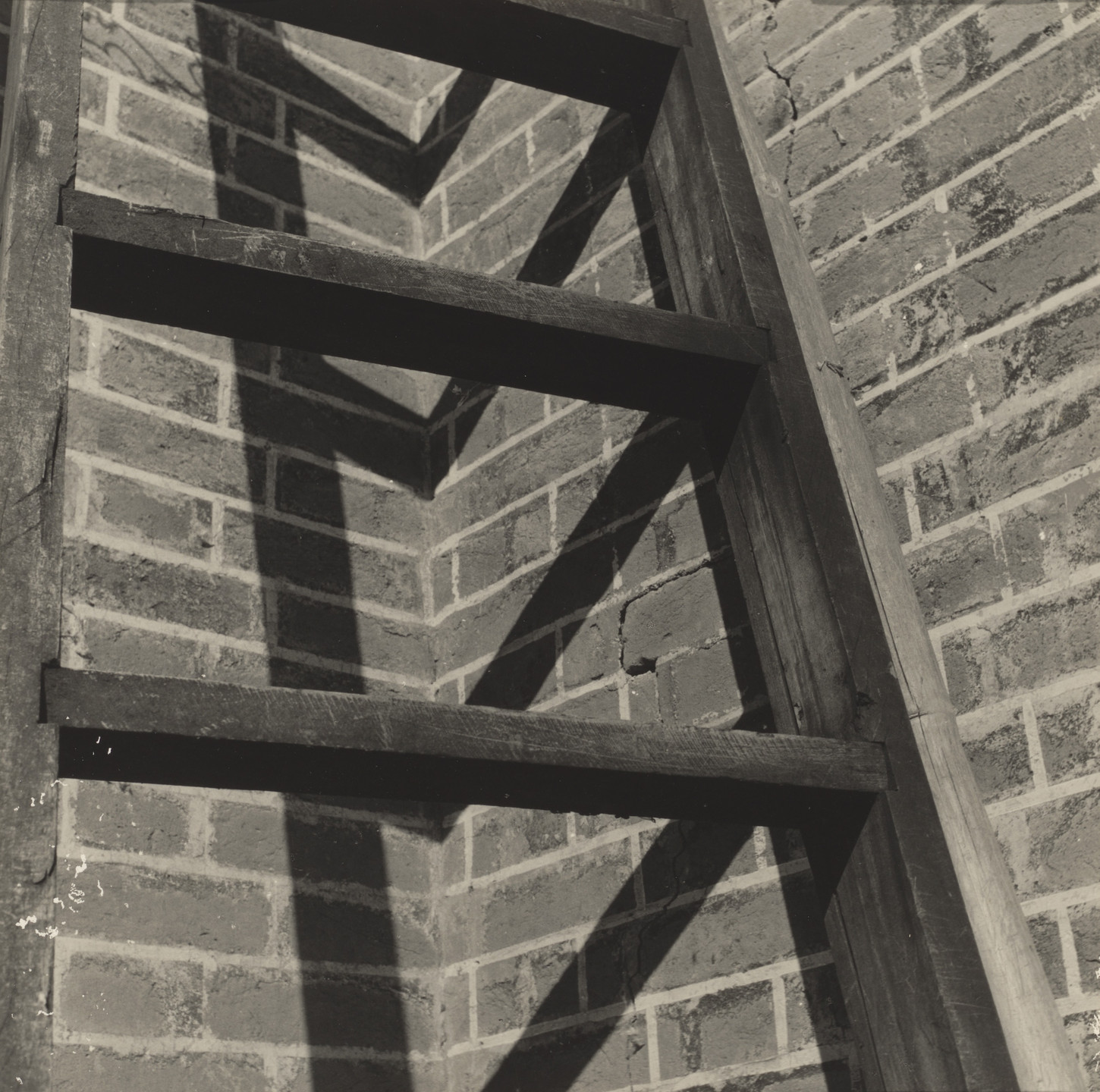 Gertrudes Altschul. Untitled. c. 1955