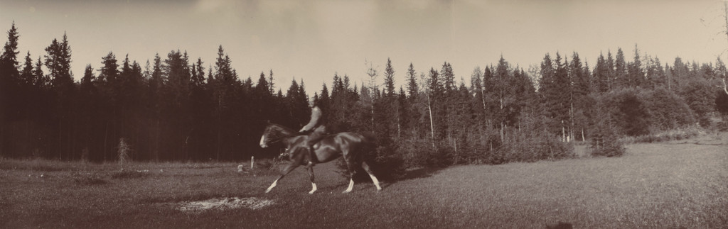 Grand Duke Mikhail Alexandrovich on Horseback, Gatchino