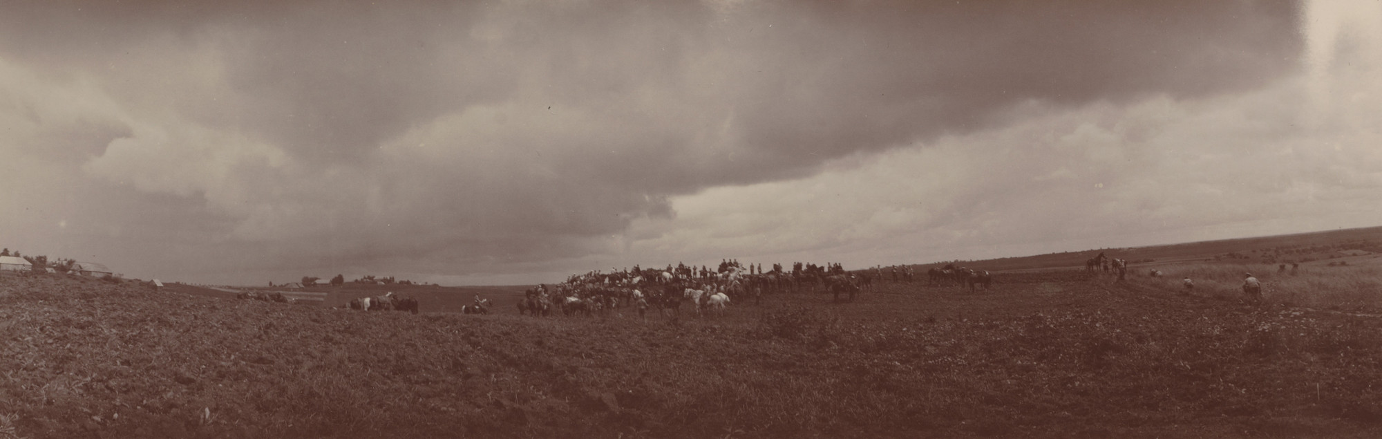 Unidentified photographer. Cavalry, Not in Formation, Ropsha