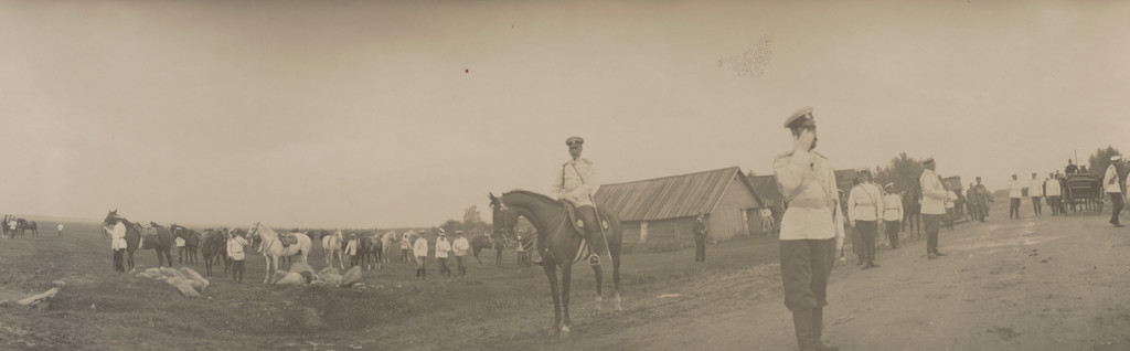 Nicholas II, Maneuvers, Peterhof
