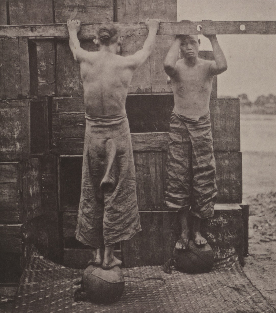 Rolling Scented Caper and Gunpowder Teas