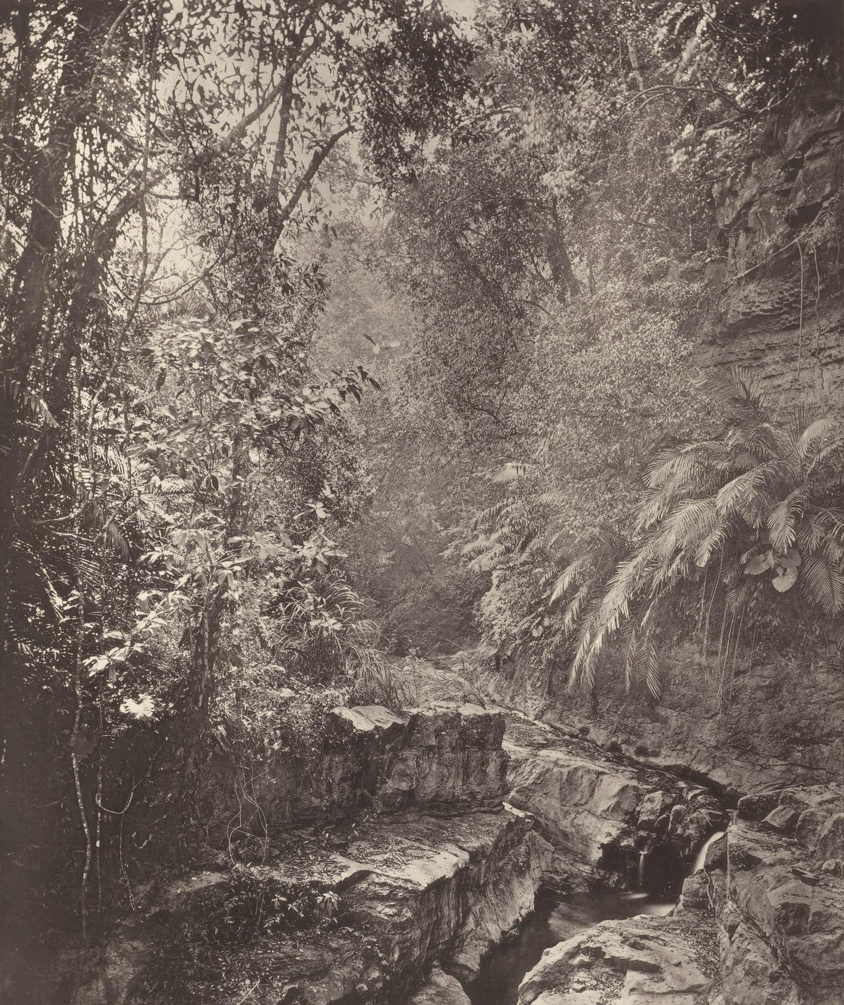 John Thomson. Mountain Pass in the Island of Formosa