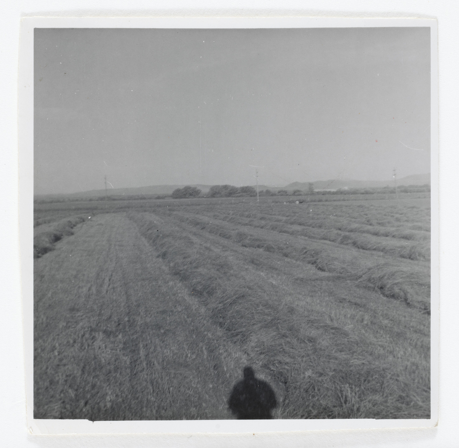 Unknown photographer. Untitled. c. 1930-50s