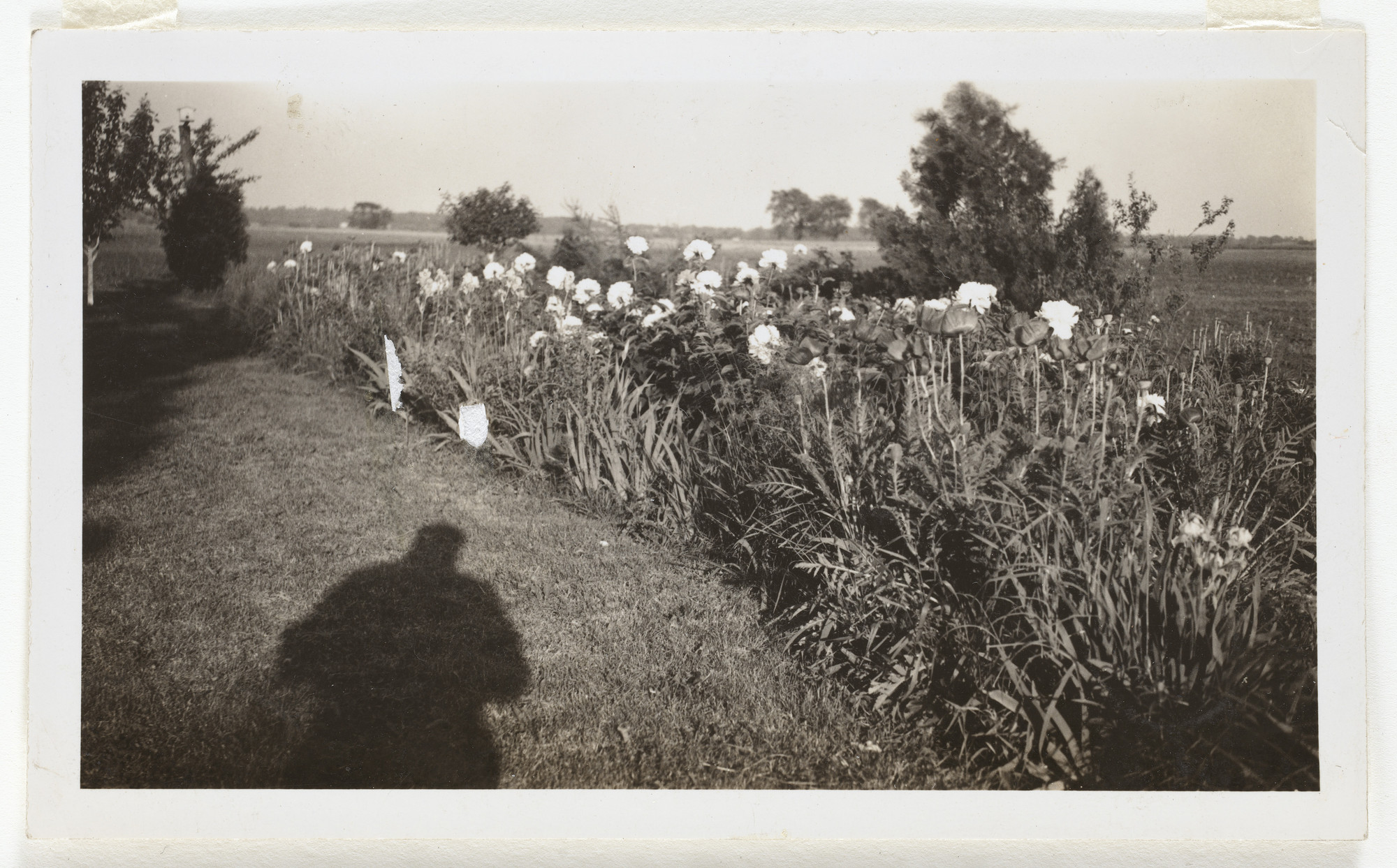 Unknown photographer. Untitled. n.d.