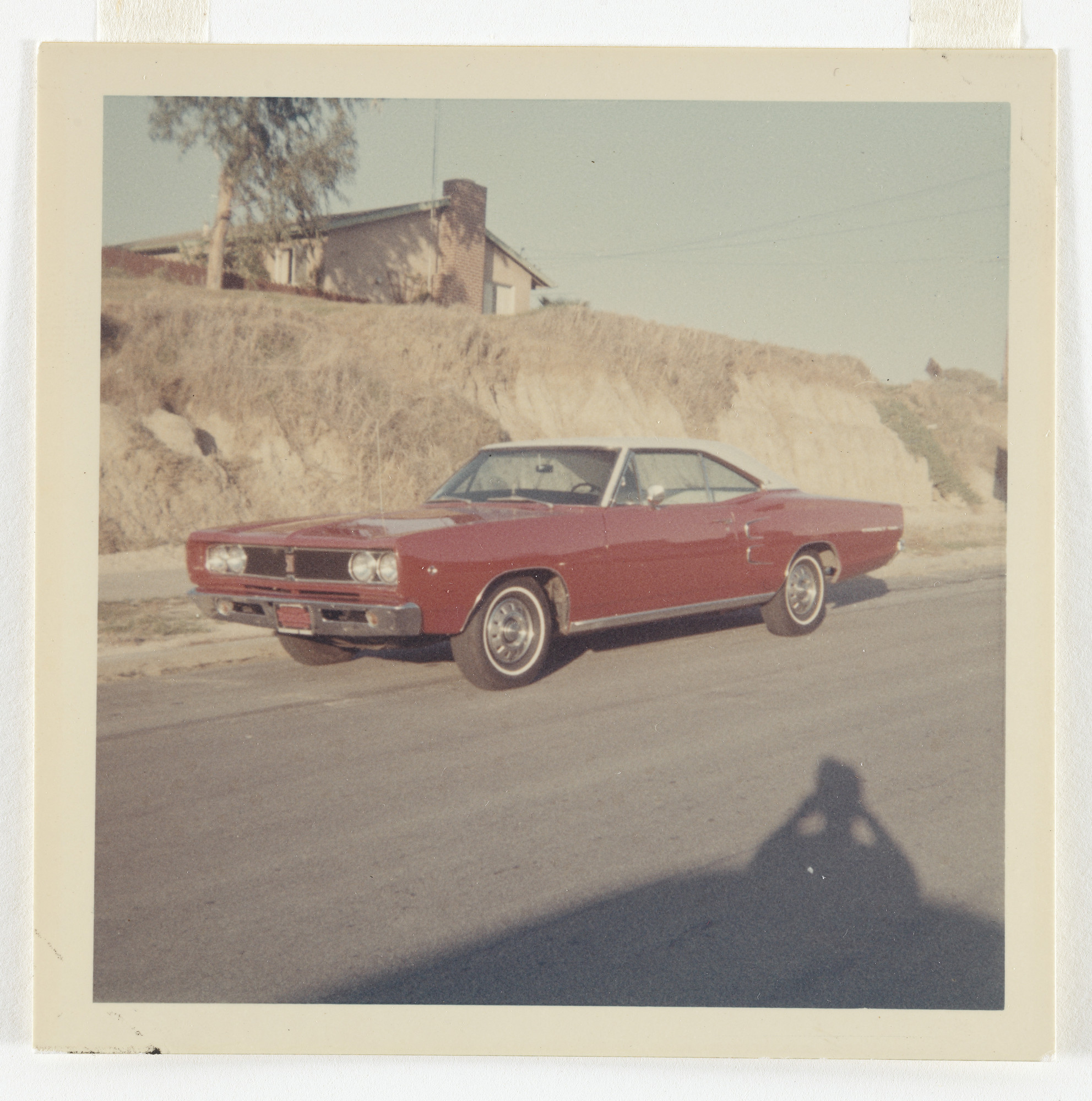 Unidentified photographer. Untitled